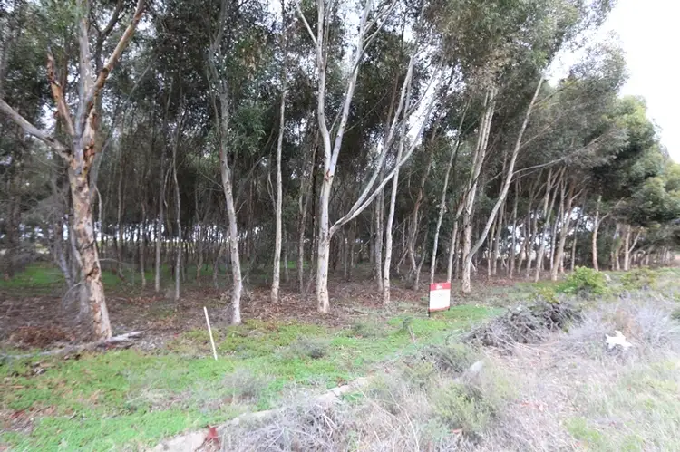 Fifth view of Homely rural property listing, 21 Vasey Road, Waikerie SA 5330
