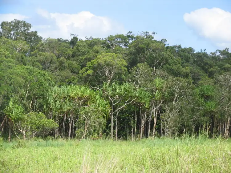 Second view of Homely land listing, l25 Pine Cr Rd, East Trinity QLD 4871