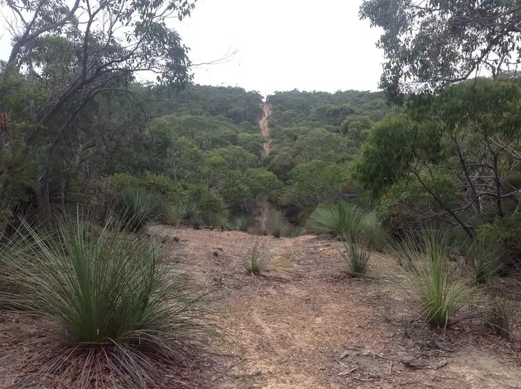 Fourth view of Homely rural property listing, Lot 51 North Coast Rd, Duncan SA 5223