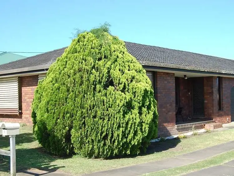 Second view of Homely unit listing, 3/13-15 Albert Street, Casino NSW 2470