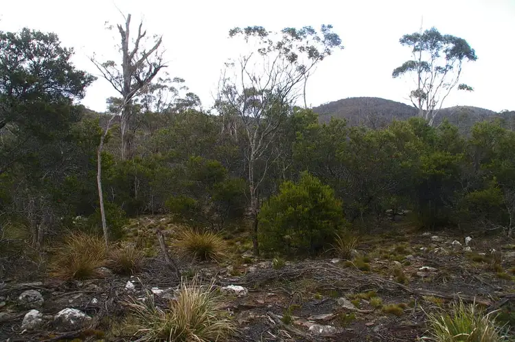 Fifth view of Homely rural property listing, Lot 3 Distillery Track, Nunamara TAS 7259