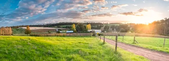 Fourth view of Homely rural property listing, Lots 268 & 11, 75 Goldfields Road, Upper Capel WA 6239