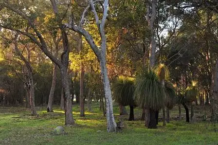 Sixth view of Homely land listing, Lot 9 Cornerstone Way - Biddles Common, Dunsborough WA 6281