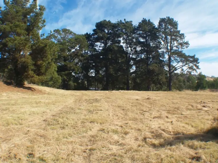 Third view of Homely land listing, 27-31 Auckland St, Candelo NSW 2550