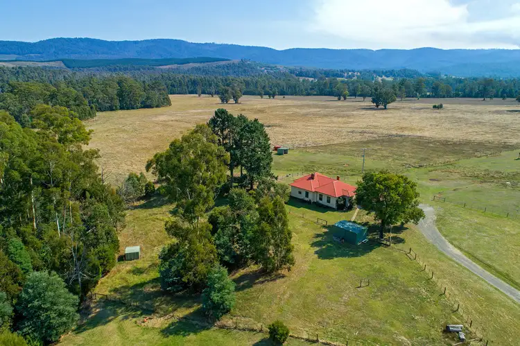 Main view of Homely rural property listing, 1059 Maroondah Highway, Narbethong VIC 3778
