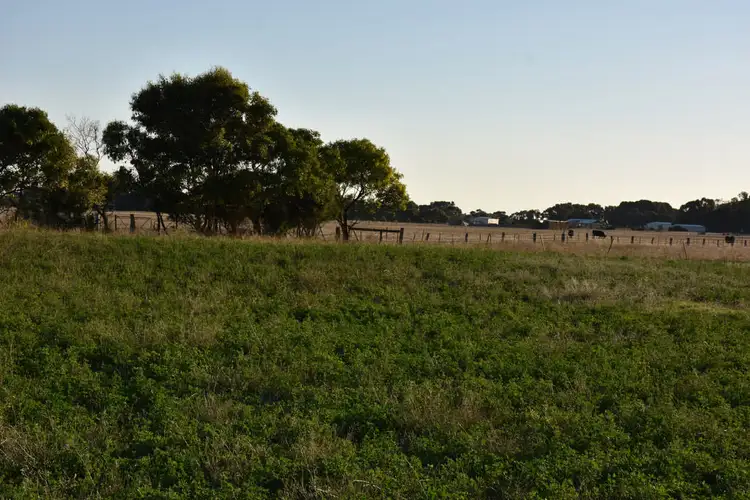 Fifth view of Homely rural property listing, 50 Magazine Lane, Kingston Se SA 5275