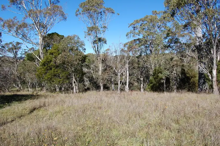 Seventh view of Homely land listing, 11 - 17 Cavanagh St, Ebor NSW 2453