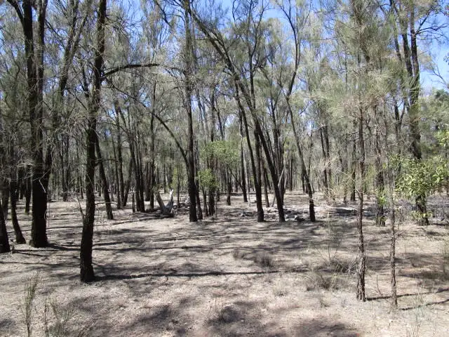 Fourth view of Homely rural property listing, LOT 19 BILLABONG LANE, Tara QLD 4421