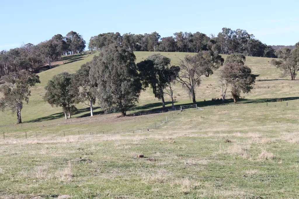 Main view of Homely land listing, Address available on request