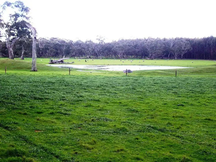 Fourth view of Homely rural property listing, 599 Fullertons Road, Poolaijelo VIC 3312