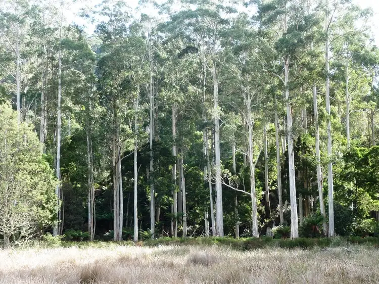 Fourth view of Homely rural property listing, . Upper Esk Road, Upper Esk TAS 7214