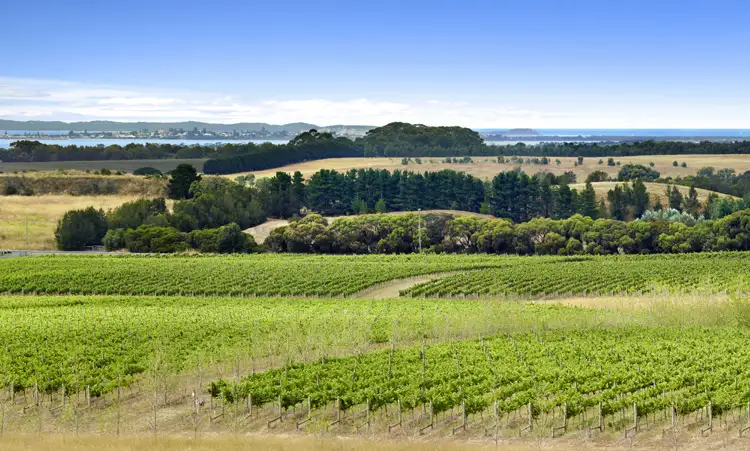 Fourth view of Homely rural property listing, 451 Founds Road, Drysdale VIC 3222
