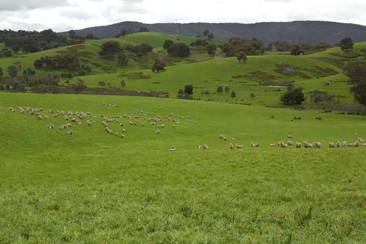 Sixth view of Homely rural property listing, 935 Highlands Road, Whiteheads Creek VIC 3660