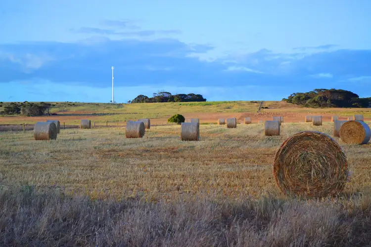 Main view of Homely rural property listing, Lots 50, 51 & 52, Emu Bay Rd, Emu Bay SA 5223