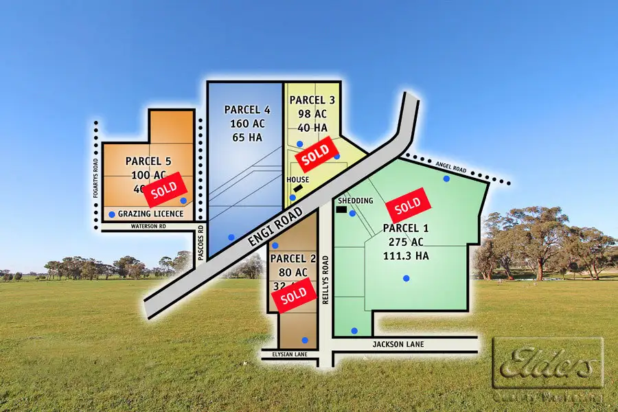 Main view of Homely rural property listing, 295 Engi Road, Neilborough VIC 3570