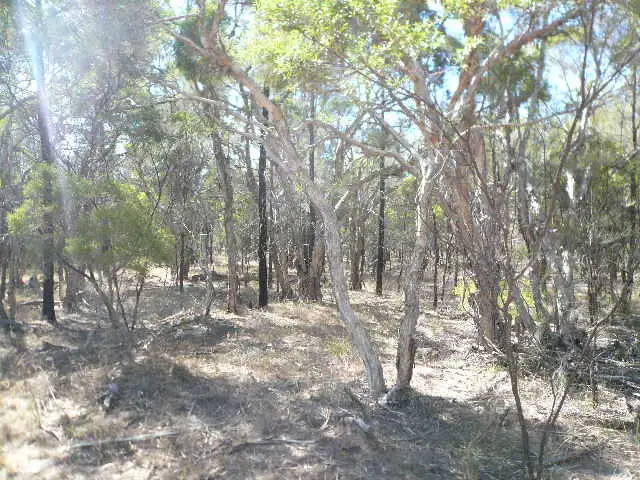 Second view of Homely rural property listing, LOT 3 WIEAMBILLA ROAD, Tara QLD 4421