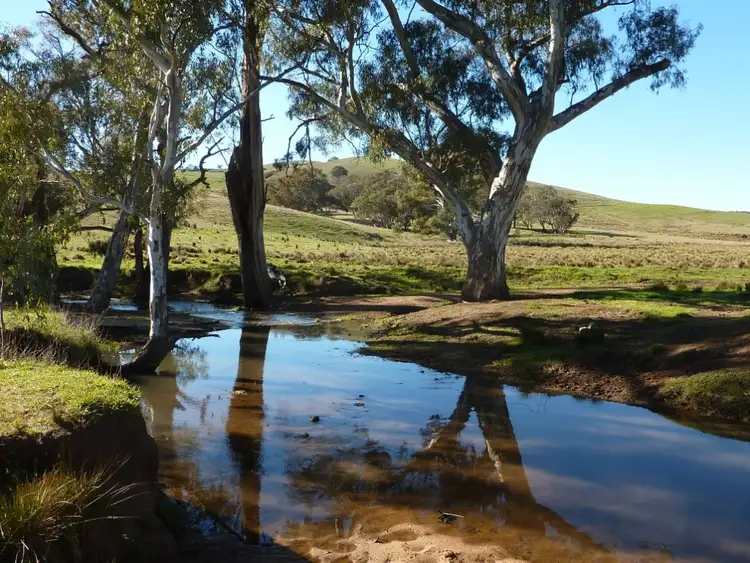 Second view of Homely rural property listing, 146 Pulletop Poad, Wagga Wagga NSW 2650