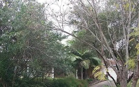 Main view of Homely house listing, 37 ARAKOOLA STREET, Jindalee QLD 4074