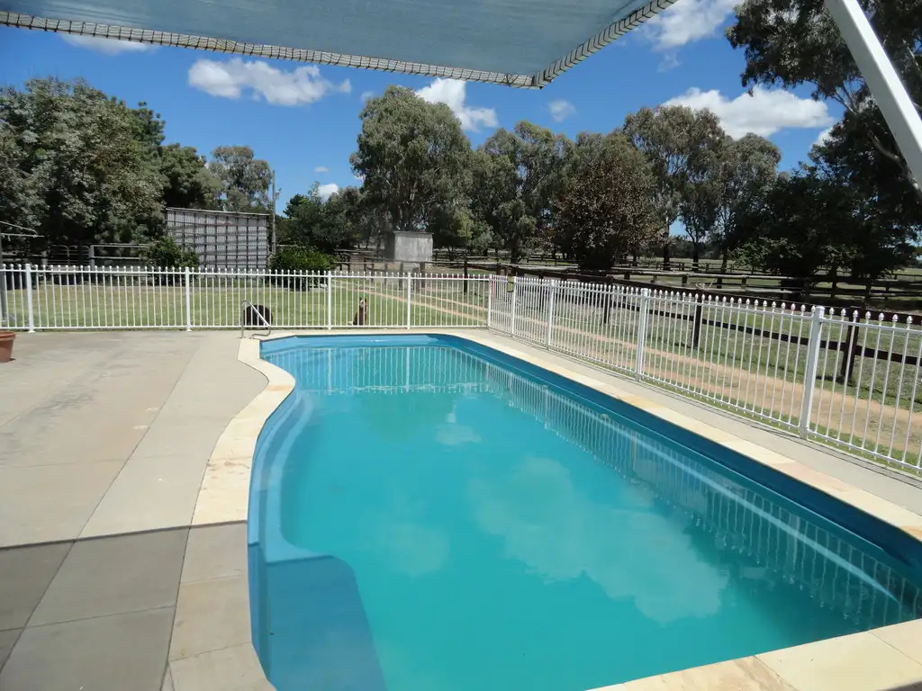 Main view of Homely rural property listing, 216 Settlers Road, Chiltern VIC 3683
