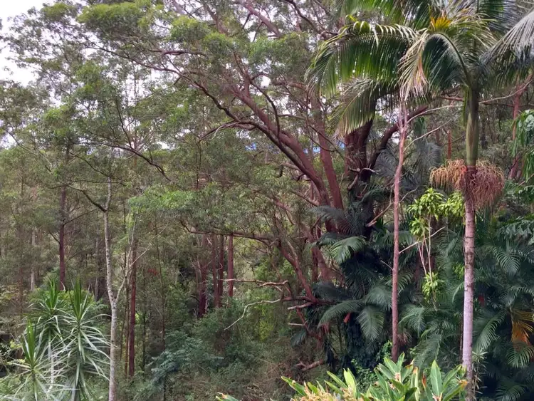 Sixth view of Homely land listing, 4/818 Blue Knob Road, Nimbin NSW 2480