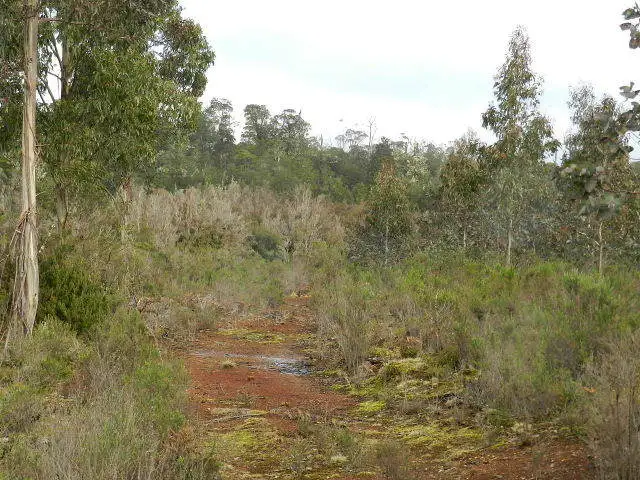 Seventh view of Homely rural property listing, Lot 1 Waratah Road, Waratah TAS 7321