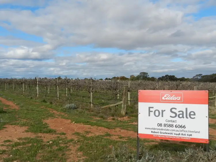 Fifth view of Homely land listing, 201, 202 & 203 Wilkinson Road, Loveday SA 5345
