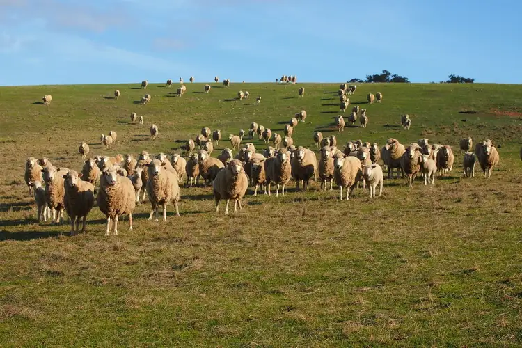 Fourth view of Homely rural property listing, 1030 Kobyboyn Road, Whiteheads Creek VIC 3660