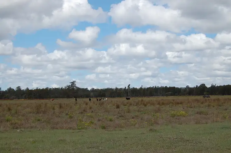 Fifth view of Homely rural property listing, Six Mile, Camira NSW 2469