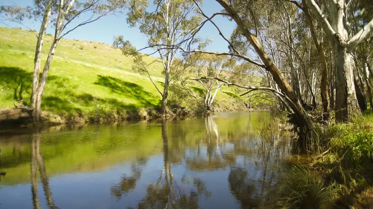 Third view of Homely rural property listing, 3330 Romsey Road, Chintin VIC 3756