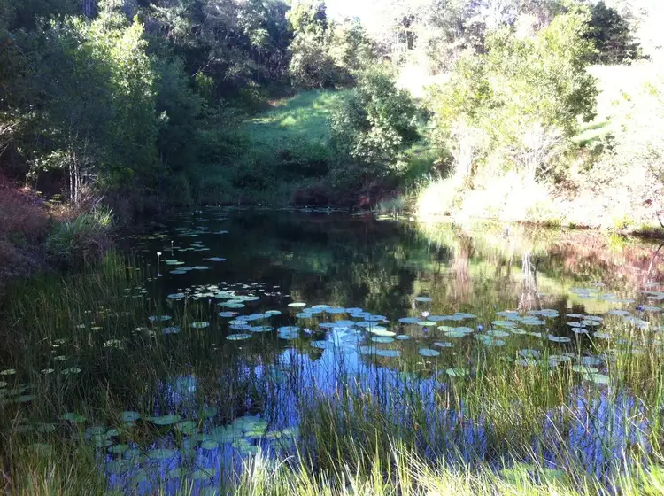 Third view of Homely land listing, 385 Old Tewantin Road, Lake Macdonald QLD 4563