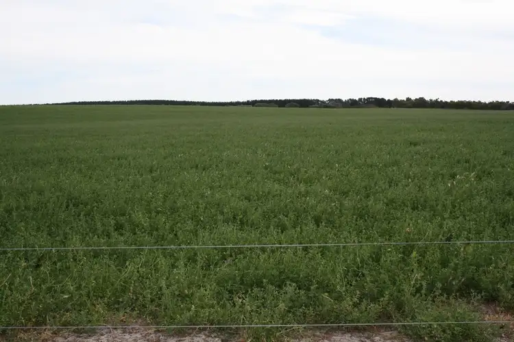 Main view of Homely rural property listing, Section 373 Old Robe Road, Naracoorte SA 5271