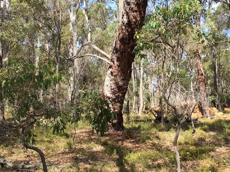 Fifth view of Homely land listing, Lot 92 (99) Glover Road, Yallingup Siding WA 6282