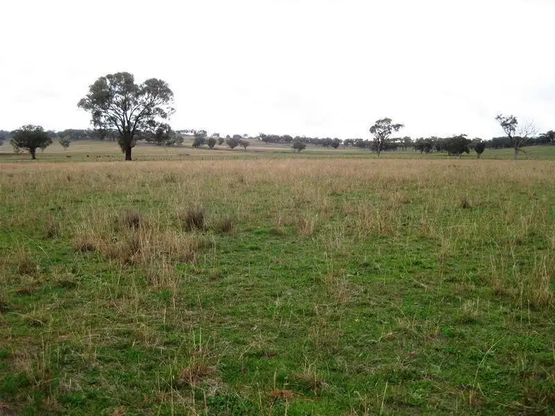 Main view of Homely rural property listing, 687 Canadian Lead Road, Mudgee NSW 2850