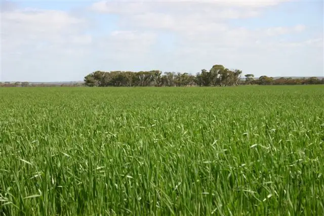 Main view of Homely rural property listing, Address available on request