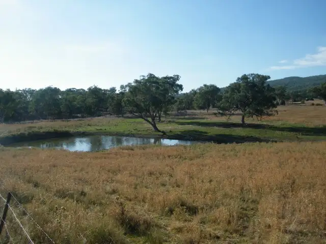 Main view of Homely rural property listing, "The Castle" 1085 Wallabadah Road, Quirindi NSW 2343