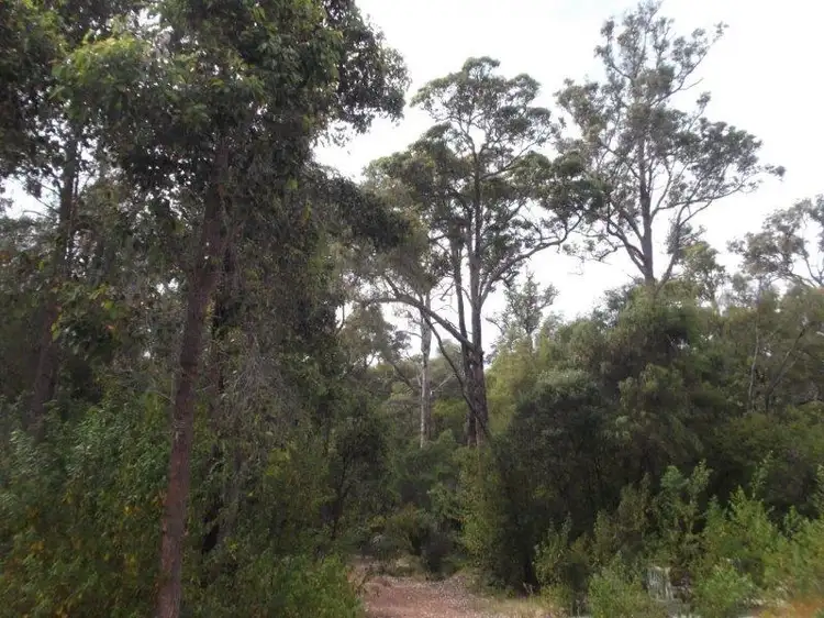Main view of Homely rural property listing, 804 Deeside Coast Road, Manjimup WA 6258