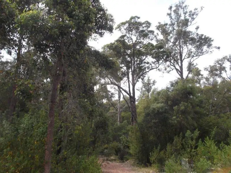 Main view of Homely rural property listing, 804 Deeside Coast Road, Manjimup WA 6258