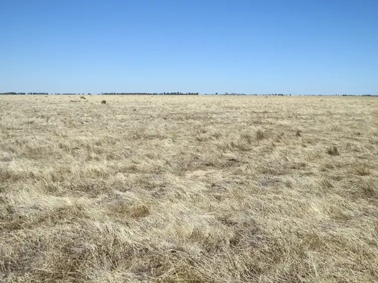 Second view of Homely rural property listing, "Dandaloo" Noorong Road, Barham NSW 2732
