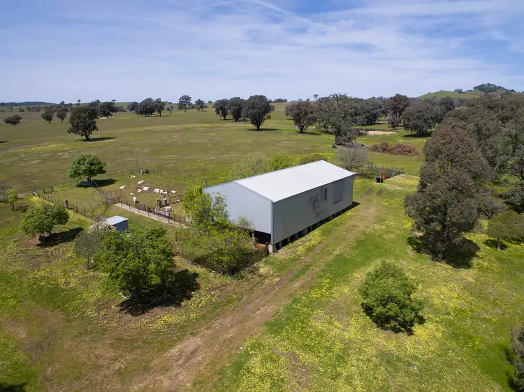 Third view of Homely rural property listing, 1991 Lower Piambong Road, Mudgee NSW 2850