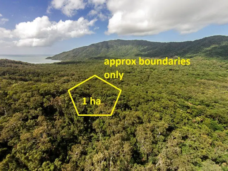 233 White Beech Rd, Daintree QLD 4873