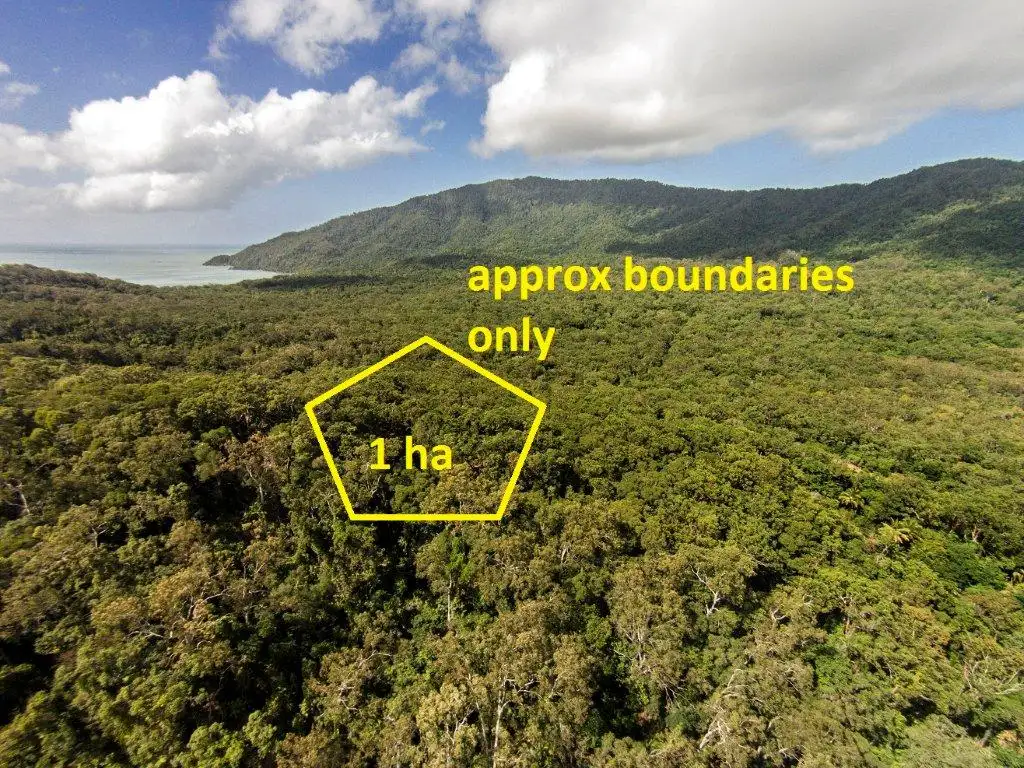 Main view of Homely land listing, 233 White Beech Rd, Daintree QLD 4873