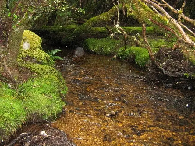 Third view of Homely rural property listing, 3744 Cradle Mountain Road, Cradle Mountain TAS 7306