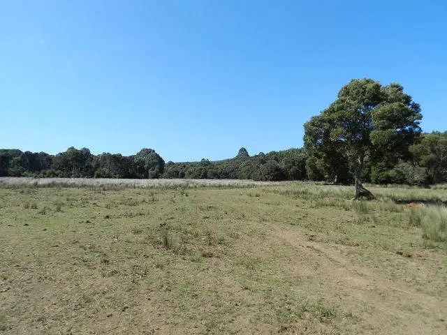 Main view of Homely house listing, 37 Woolleys Road, Takone TAS 7325