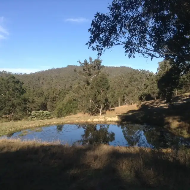 Sixth view of Homely rural property listing, Lot 4 Armidale Road, Bellbrook NSW 2440