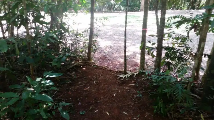 Seventh view of Homely land listing, 512 Silver Ash Road, Daintree QLD 4873
