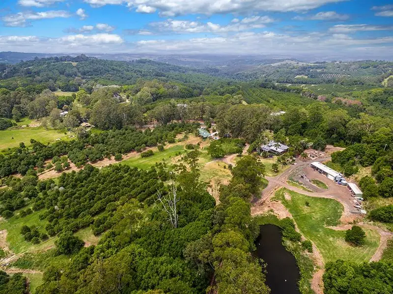 Main view of Homely rural property listing, # 191 Repentance Creek Road, Rosebank NSW 2480