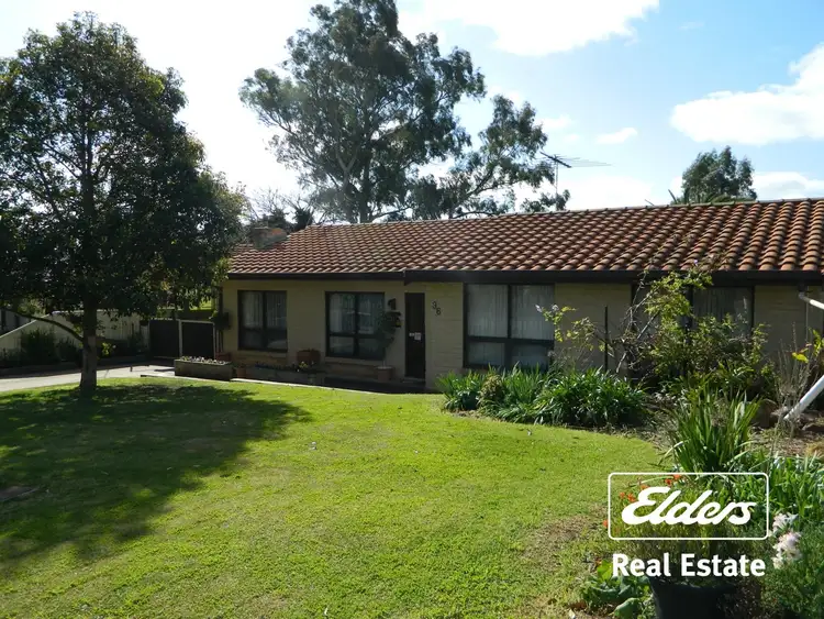 Main view of Homely house listing, 36 Bright Terrace, Gawler East SA 5118