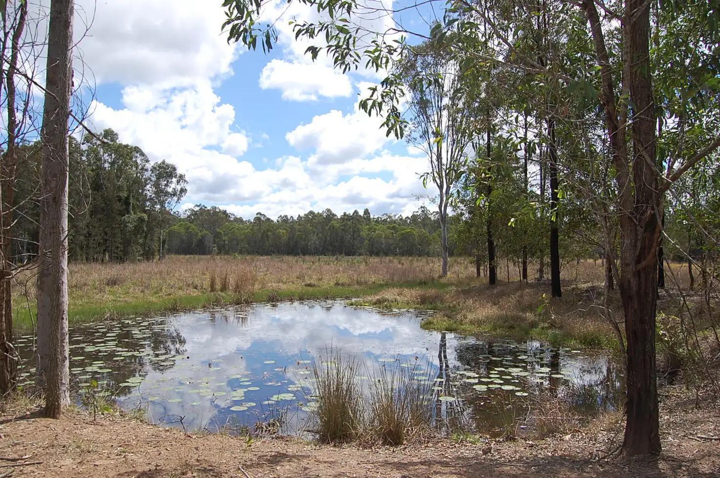 Main view of Homely rural property listing, Clearfield Road, Clearfield NSW 2469