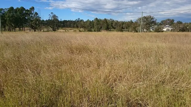 Fifth view of Homely land listing, 31 Adonus Close, Trenayr NSW 2460