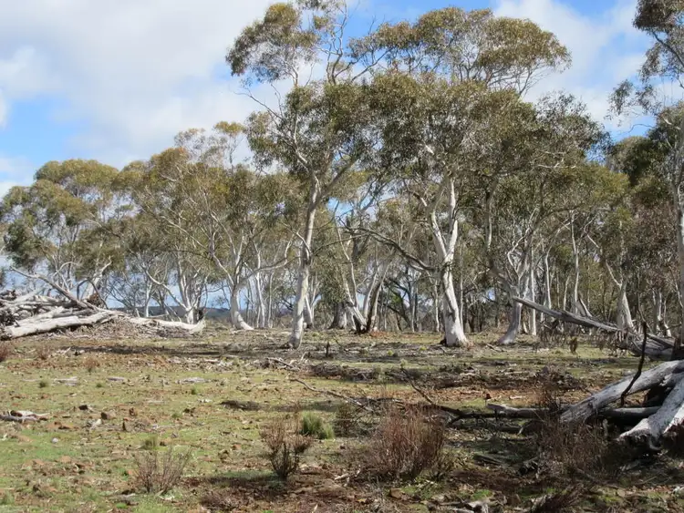 Fifth view of Homely rural property listing, 466 Caddigat Rd, Dry Plain NSW 2630
